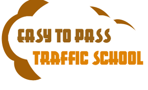 Easy To Pass Traffic School logo