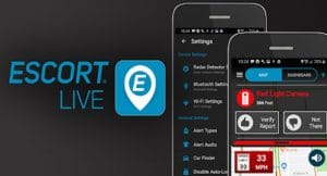 picture of escort live