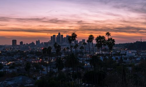 Los Angeles cityscape with trees at dawn